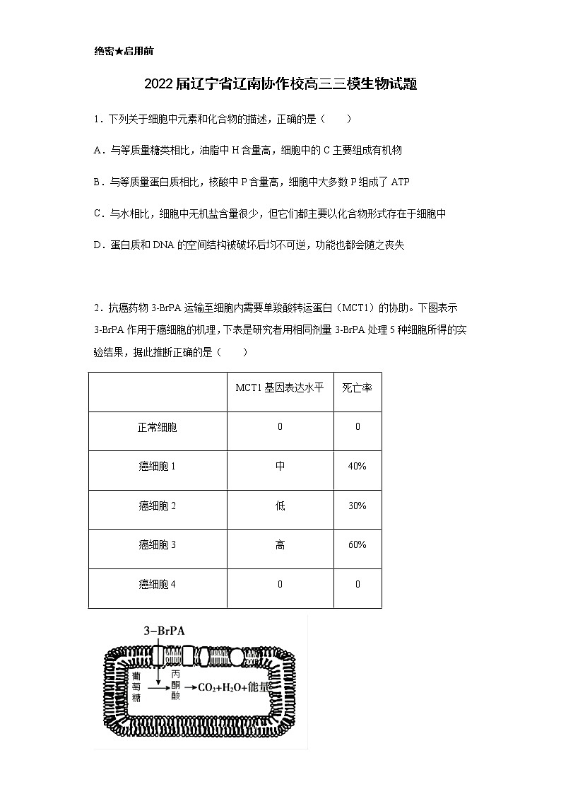 2022届辽宁省辽南协作校高三三模生物试题含解析01