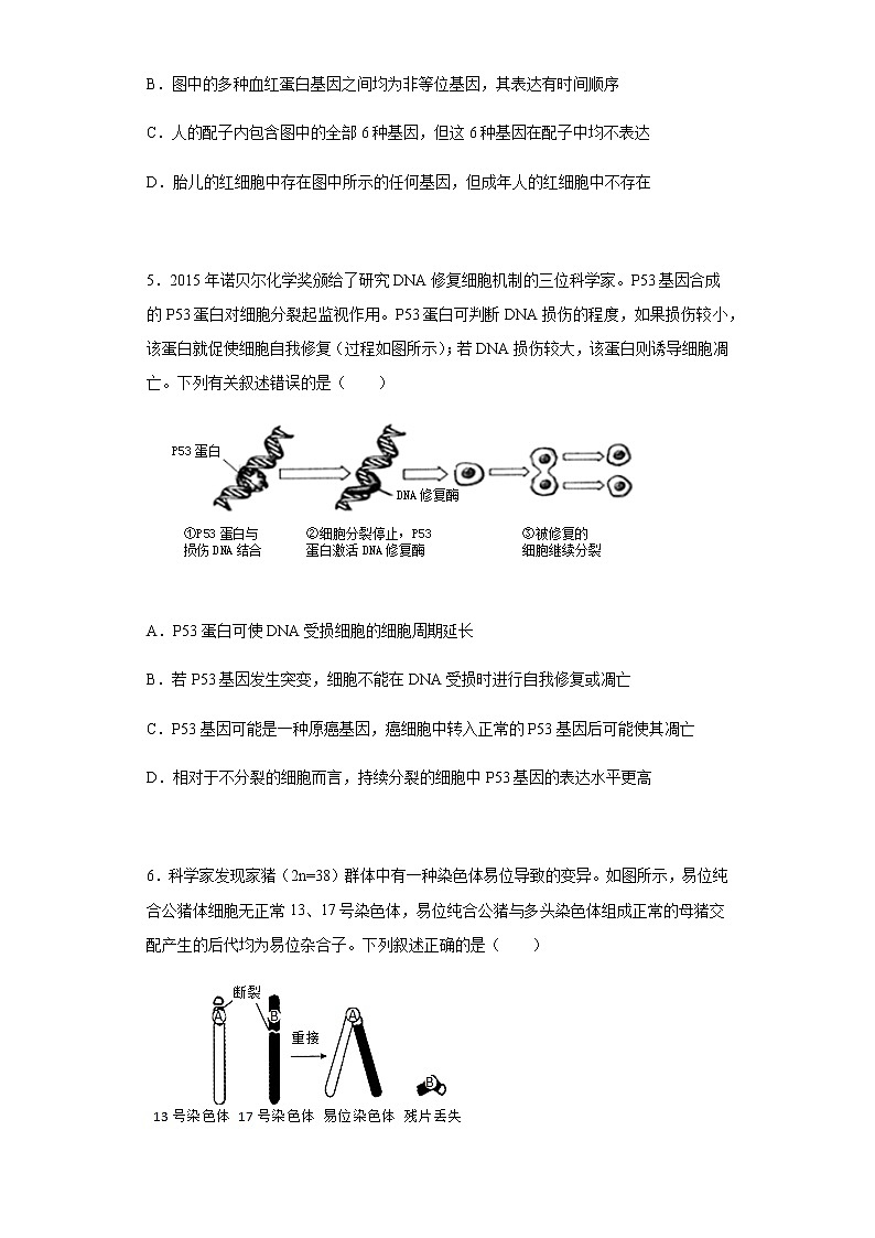 2022届辽宁省辽南协作校高三三模生物试题含解析03