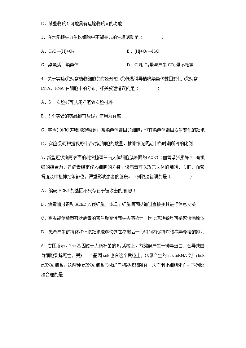 2021-2022学年河北省沧州市一中高三11月月考生物试题含解析02