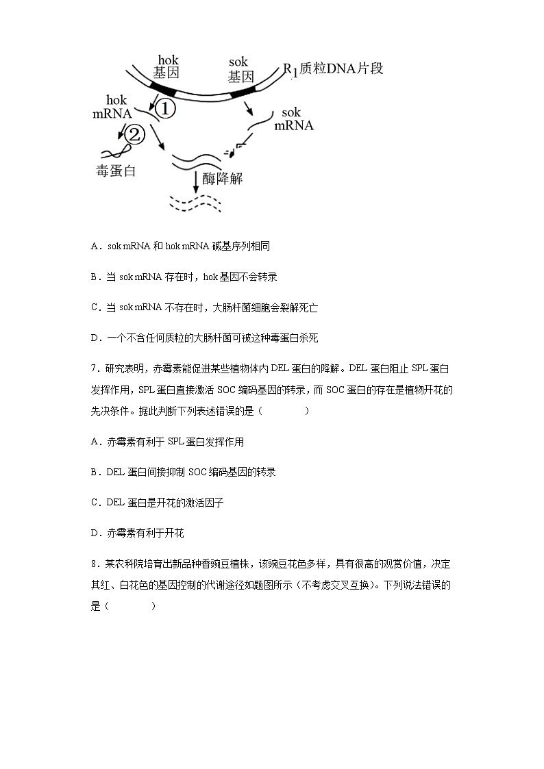 2021-2022学年河北省沧州市一中高三11月月考生物试题含解析03
