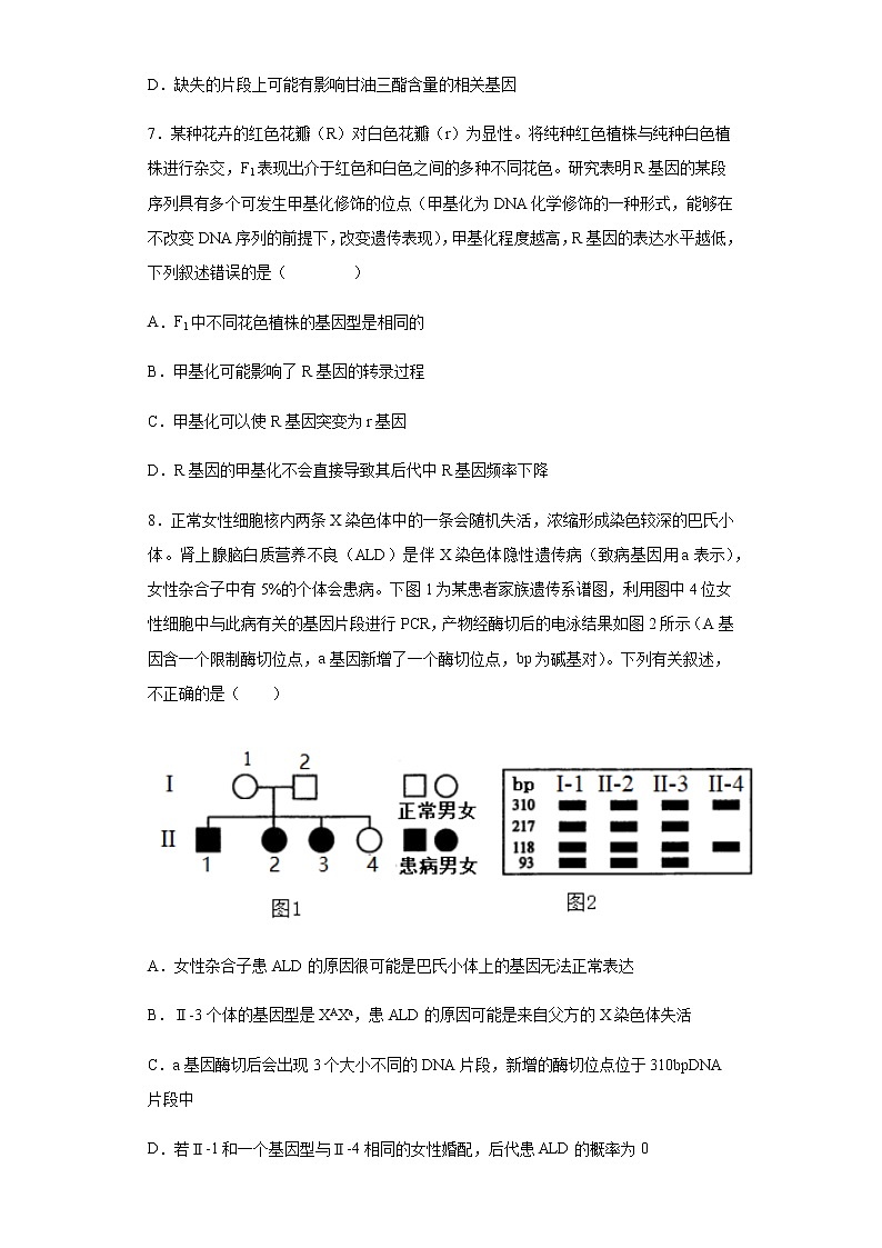 2021-2022学年河北省沧州市一中高三12月月考生物试题含解析第3页
