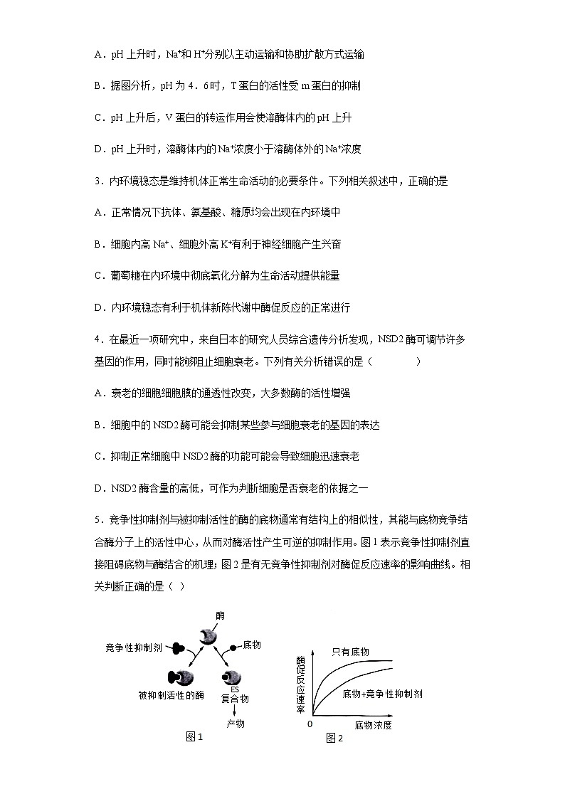 2021-2022学年河北省衡水市深州市中学高三上学期期末生物试题含解析02