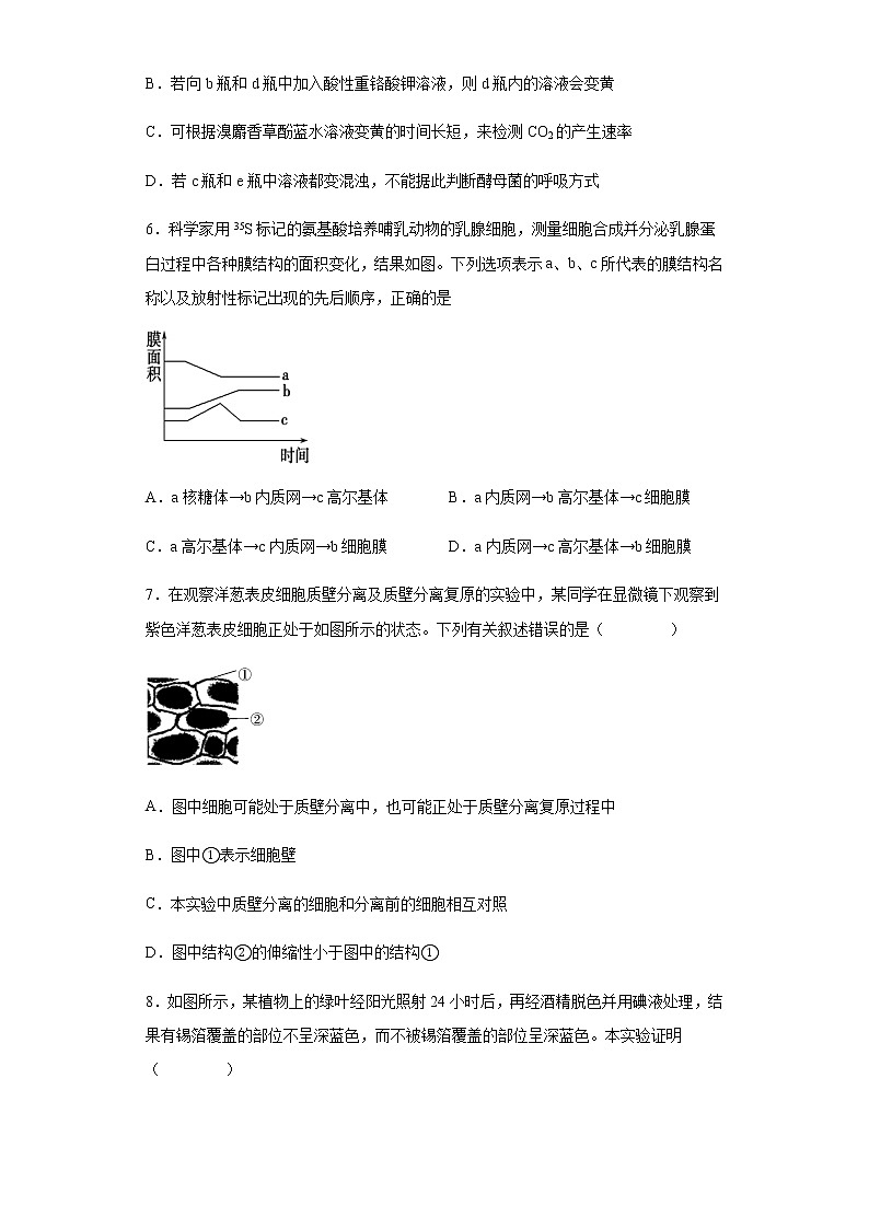 2021-2022学年河北省衡水市武强中学高三上学期第一次月考生物试题含解析03
