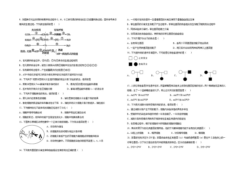 新疆哈密市第八中学2021-2022学年高一下学期期末考试生物试题（含答案）02