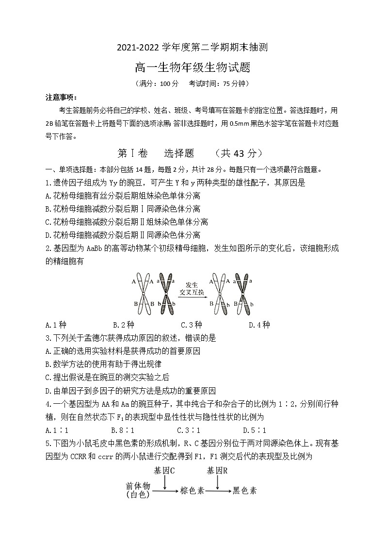 江苏省徐州市2021-2022学年高一第二学期期末生物试卷（含答案）01