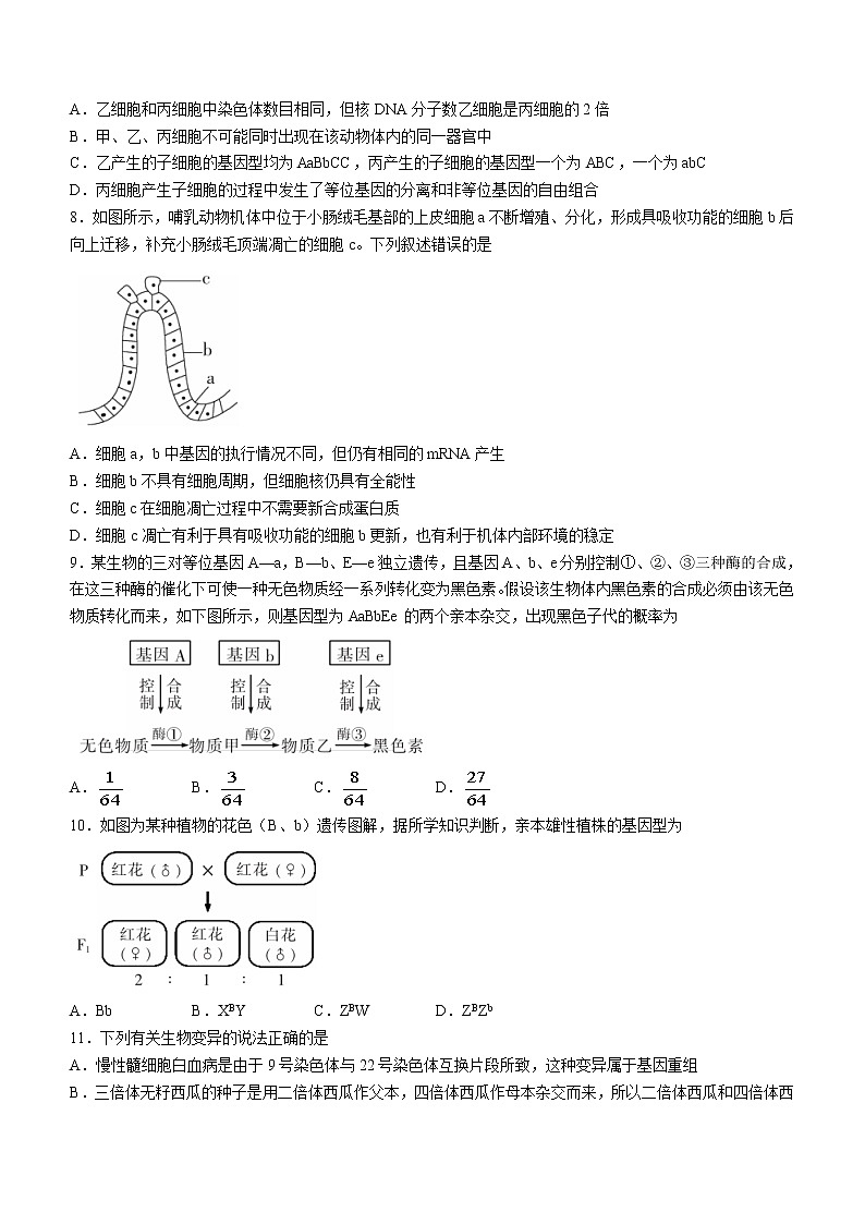 湖南省郴州市2021-2022学年高一下学期期末生物试题（含答案）03