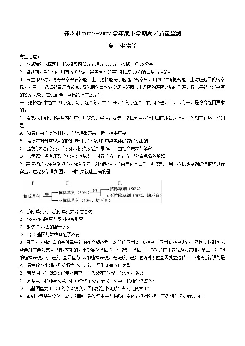 湖北省鄂州市2021-2022学年高一下学期期末质量监测生物试题（Word版含答案）01