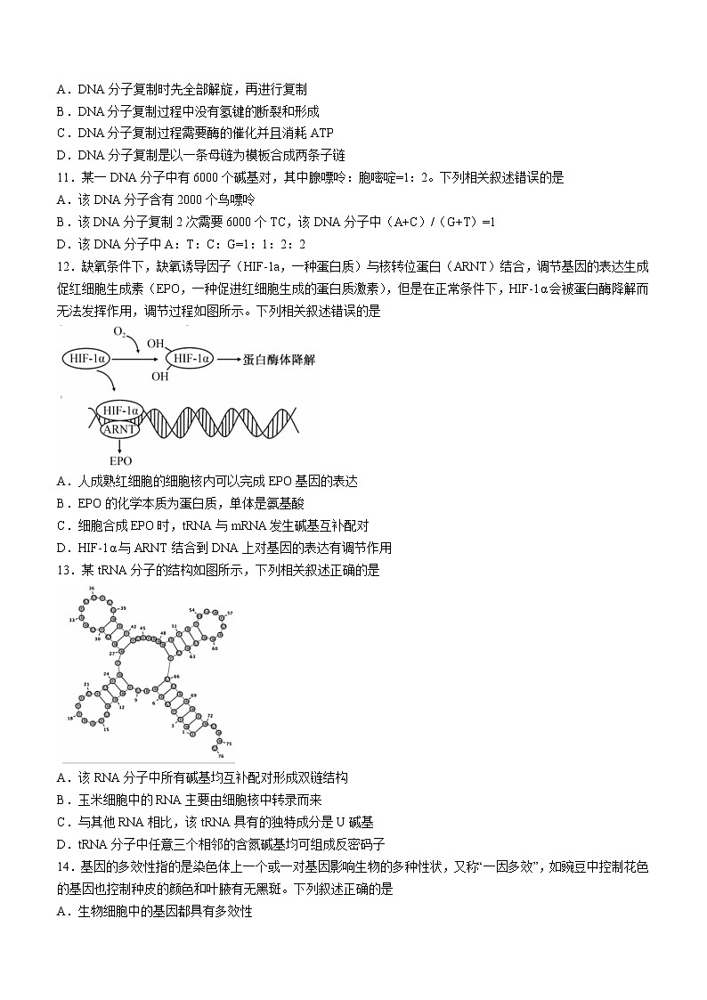 湖北省鄂州市2021-2022学年高一下学期期末质量监测生物试题（Word版含答案）03