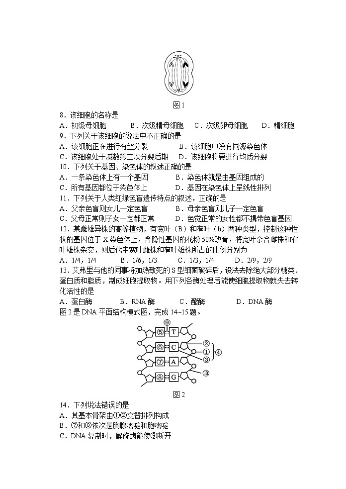 陕西省宝鸡市陈仓区2021-2022学年高一下学期期末考试生物试题（含答案）02