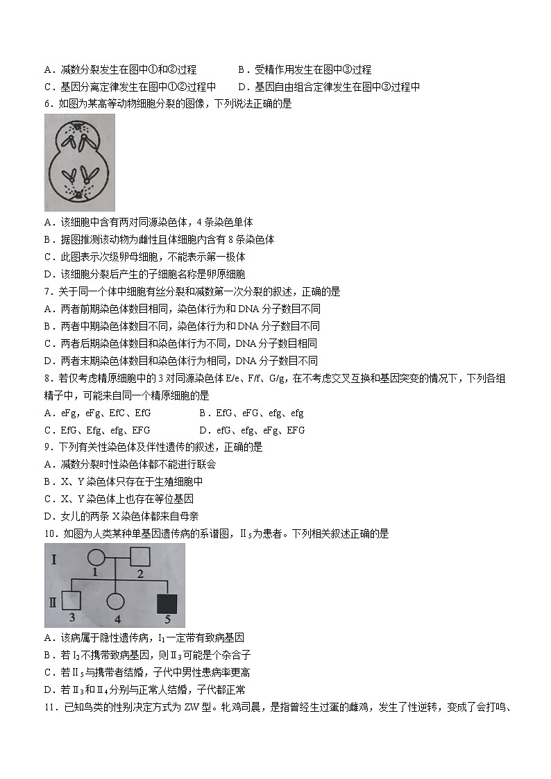 陕西省西安市阎良区2021-2022学年高一下学期期末质量检测生物试题（含答案）02