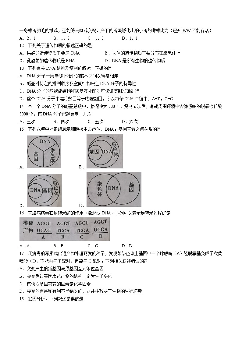陕西省西安市阎良区2021-2022学年高一下学期期末质量检测生物试题（含答案）03
