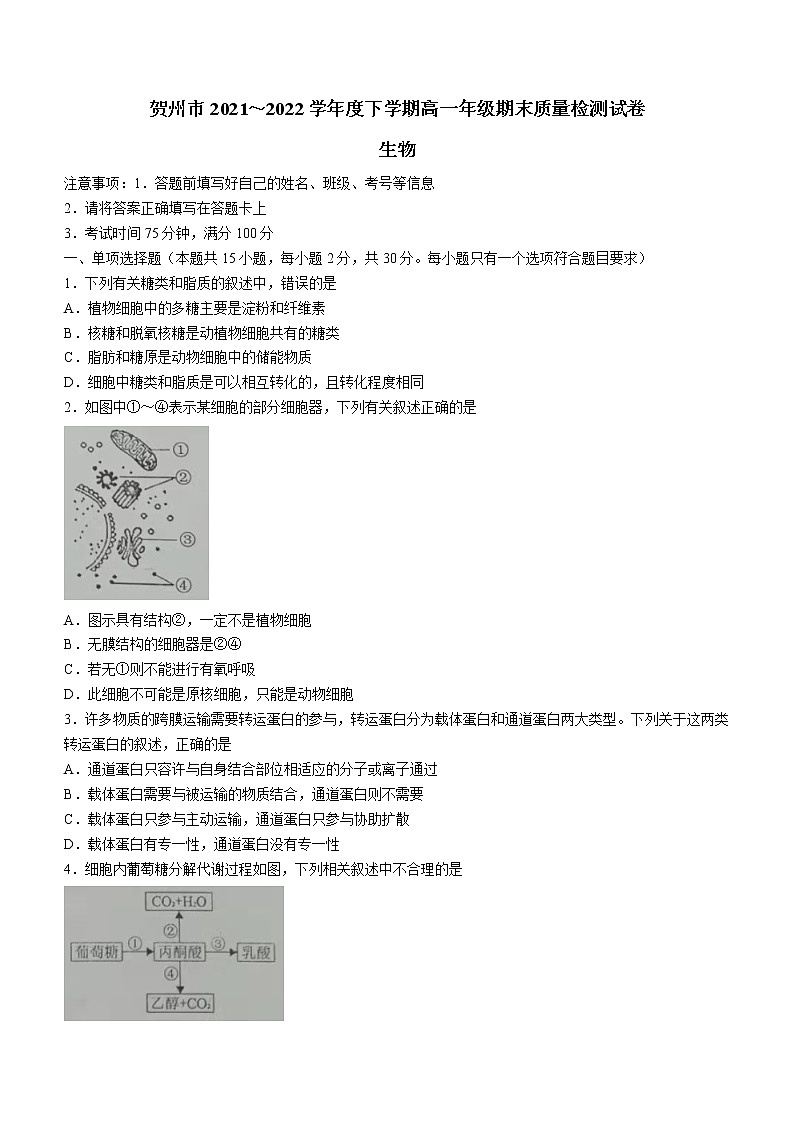 广西贺州市2021-2022学年高一下学期期末生物试题（含答案）01