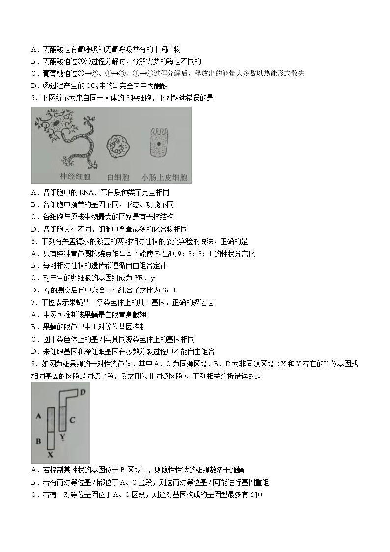 广西贺州市2021-2022学年高一下学期期末生物试题（含答案）02