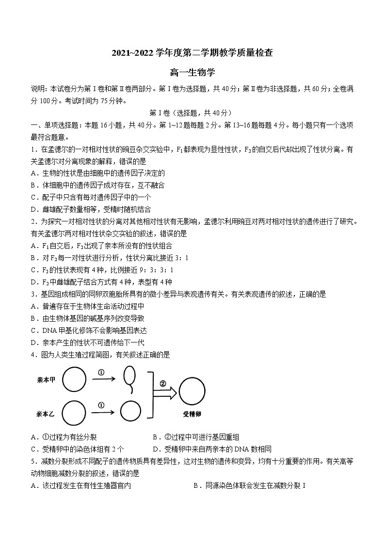 广东省东莞市2021-2022学年高一下学期期末教学质量检查生物试题（Word版含答案）01