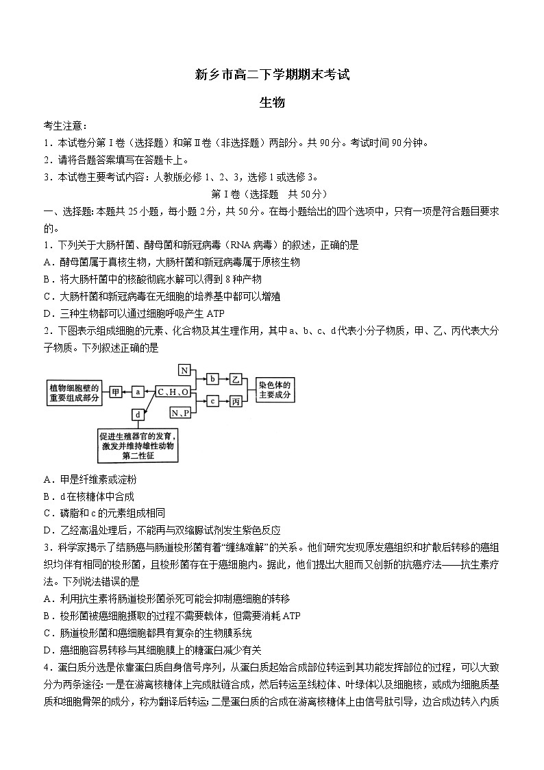 河南省新乡市2021-2022学年高二下学期期末生物试题（含答案）01