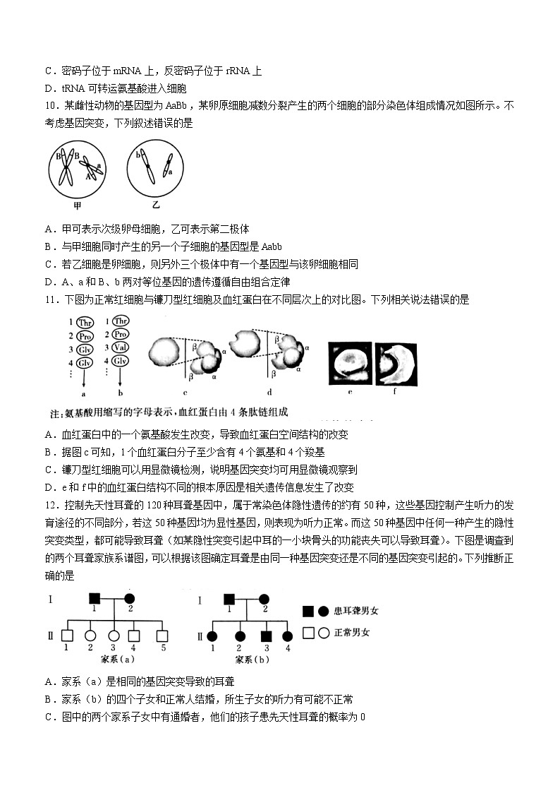 河南省新乡市2021-2022学年高二下学期期末生物试题（含答案）03