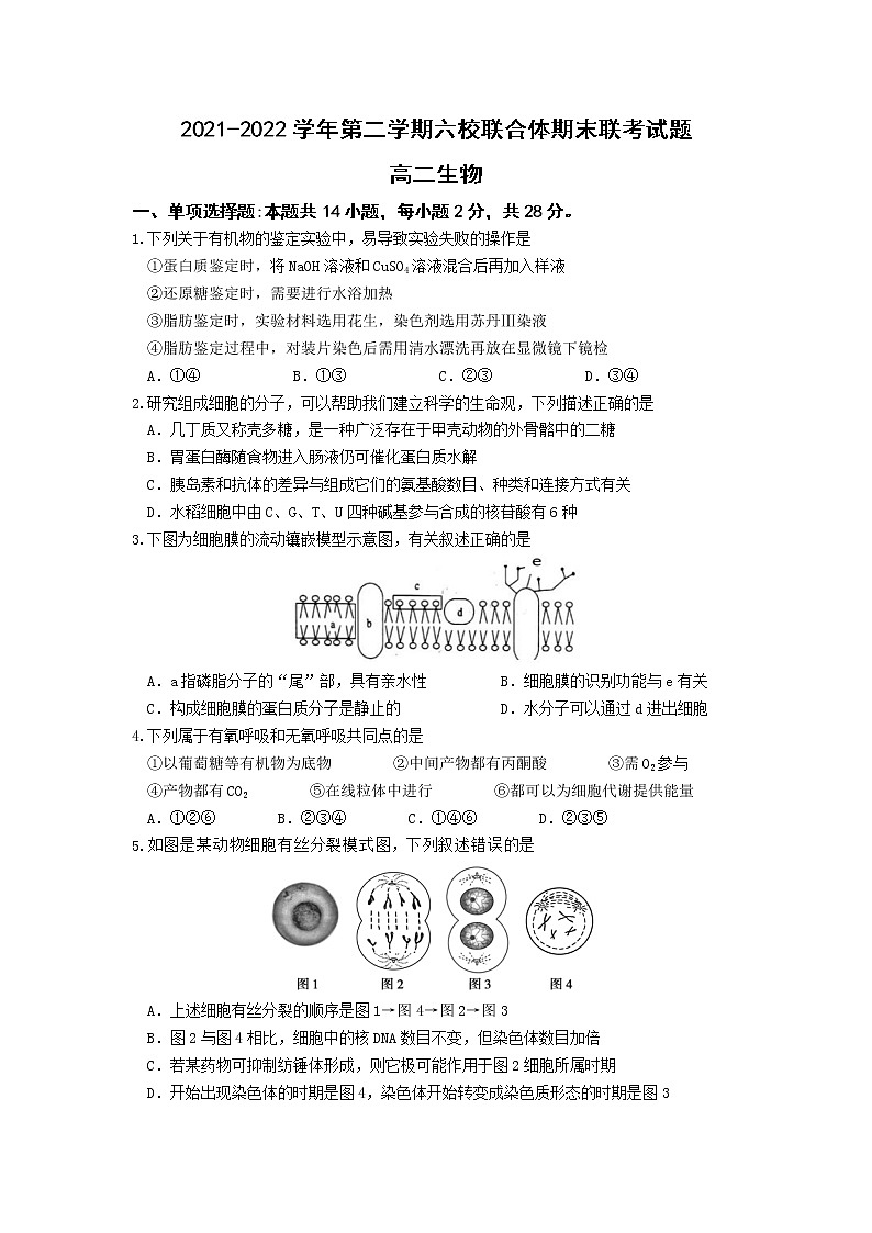 江苏省南京市六校联合体2021-2022学年高二第二学期期末联考生物试题（含答案）01