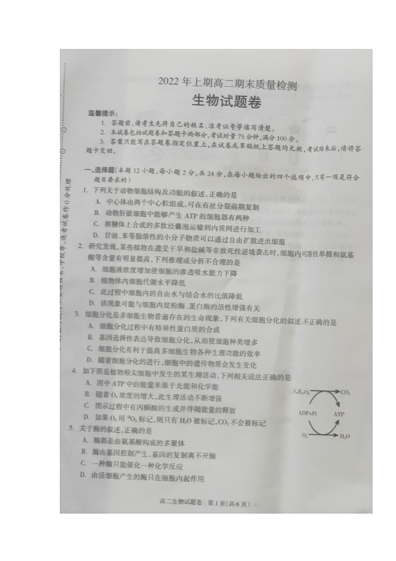 湖南省邵阳市新邵县2021-2022学年高二下学期期末质量检测生物试题（含答案）01