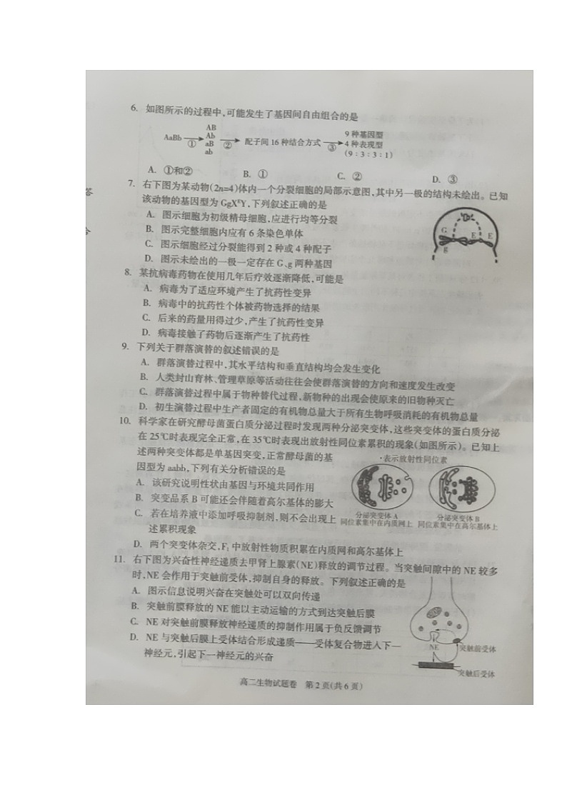 湖南省邵阳市新邵县2021-2022学年高二下学期期末质量检测生物试题（含答案）02