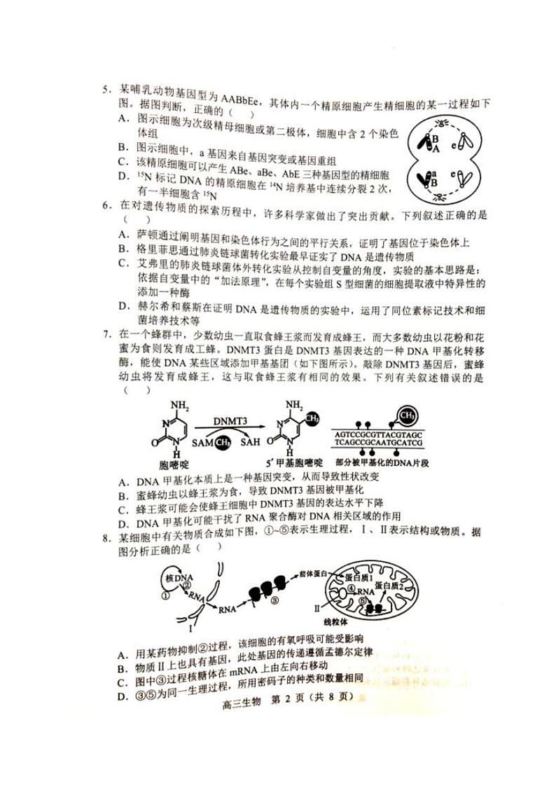 2022届辽宁省沈阳市重点高中联合体高三下学期第一次模拟考试生物试题 PDF版02