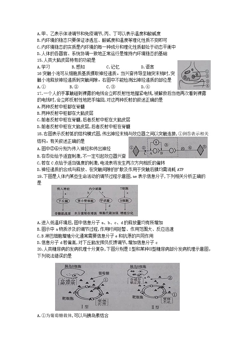 2021-2022学年福建省三明市普通高中高二上学期期末质量检测生物试题含答案03