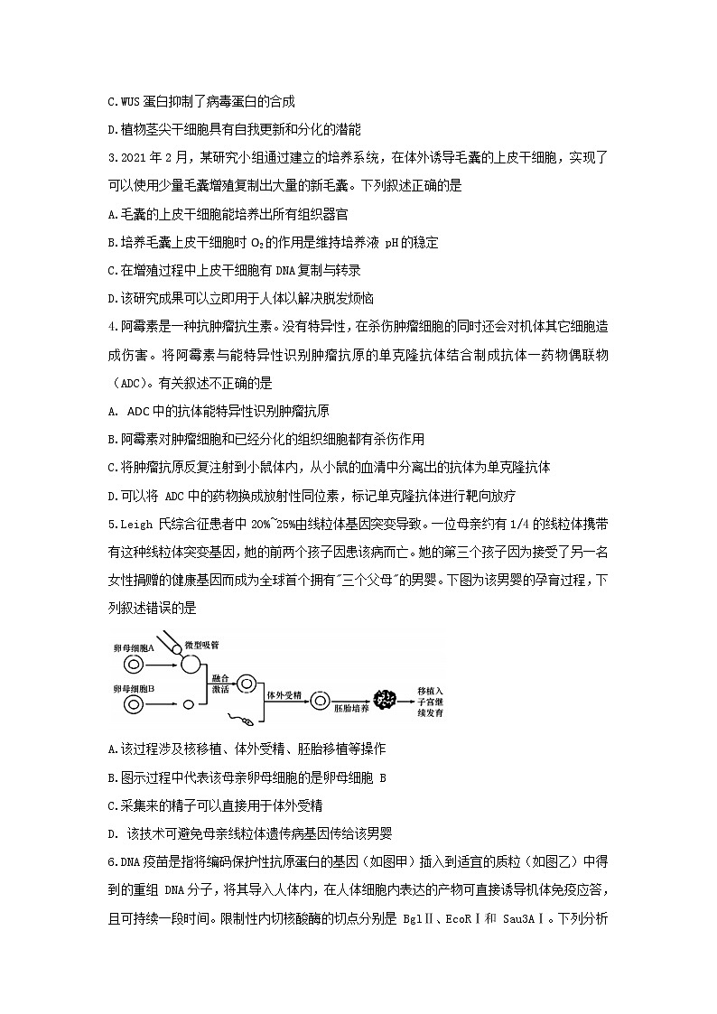 2021-2022学年山东省济宁市兖州区高二下学期期中考试生物试题含答案02