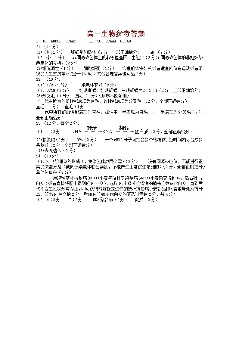 2022湖北省部分市州高一下学期7月联合期末生物试题（PDF版含答案）01