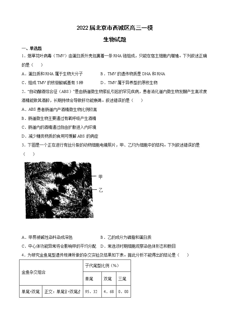 2022届北京市西城区高三一模生物试题含答案01