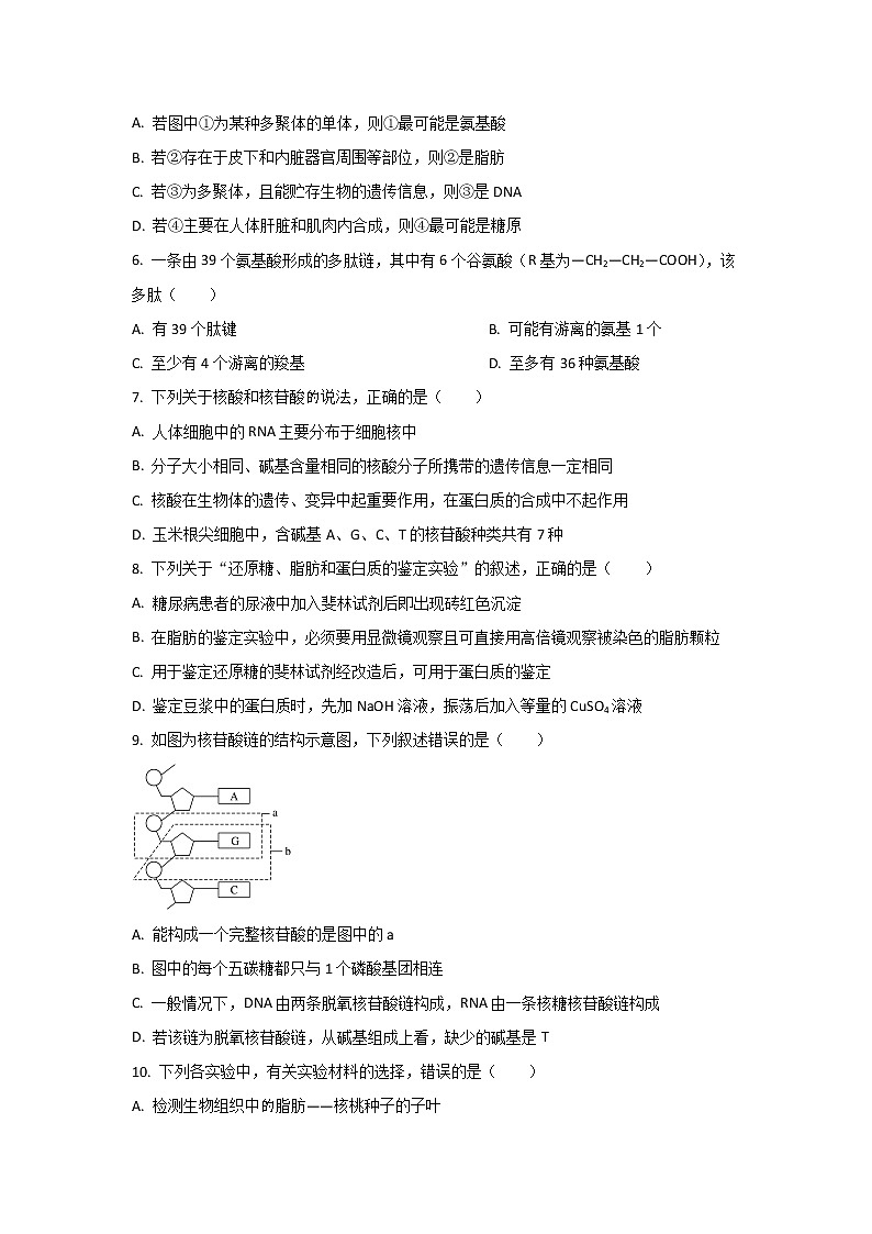 2021-2022学年安徽省池州市第一中学高一上学期12月月考生物试卷含答案02