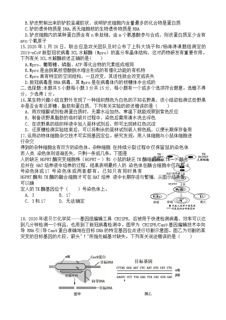 2021-2022学年辽宁省凤城市第一中学高二下学期周测（二）生物试题含答案第3页