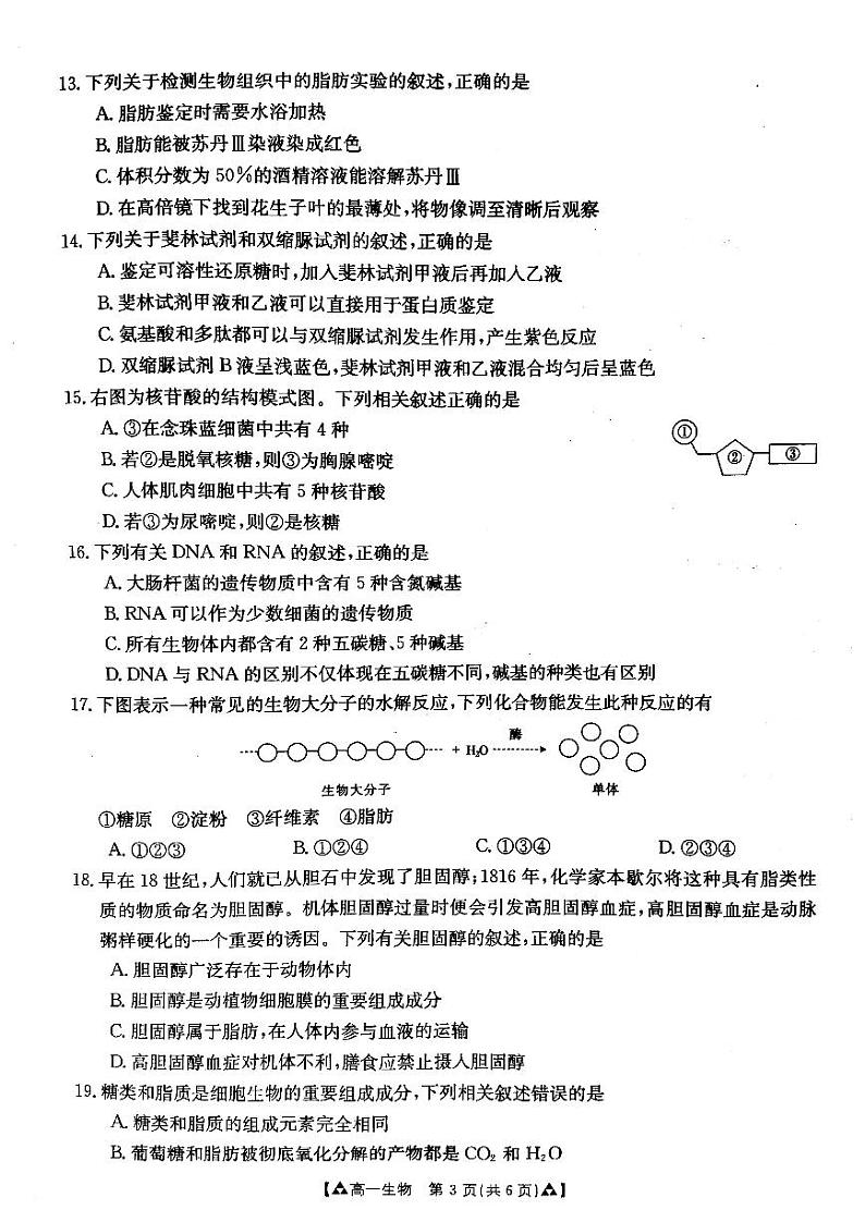 2021-2022学年河南省创新发展联盟高一上学期第一次联考（10月）生物试题 PDF版03