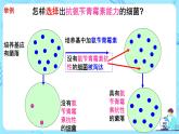 第一章第二节《微生物的培养技术及应用》（第2课时）课件PPT+教案