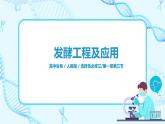 第一章第三节《发酵工程及应用》课件PPT+教案