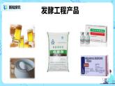 第一章第三节《发酵工程及应用》课件PPT+教案