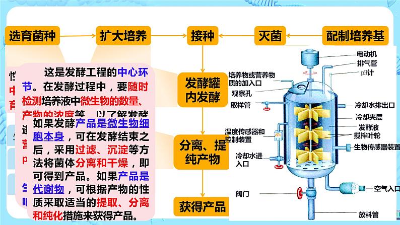 第一章第三节《发酵工程及应用》第7页