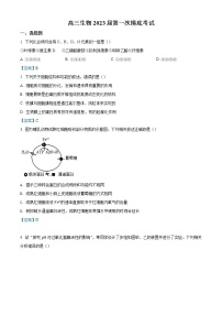 2023河南省高三上学期第一次摸底考试生物含答案