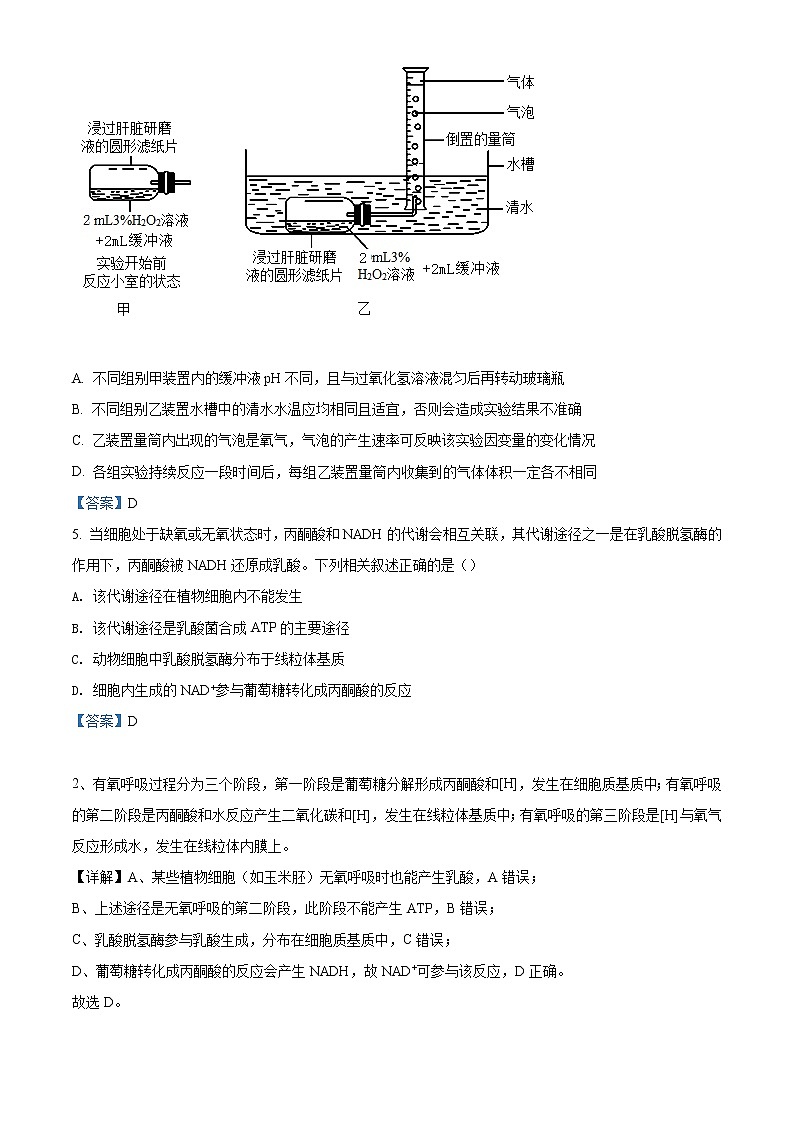 2023河南省高三上学期第一次摸底考试生物含答案02