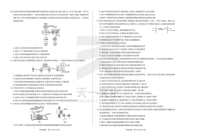 生物高二下皖豫联盟期末试卷第2页