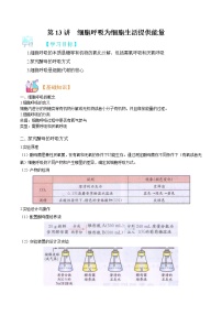 第13讲 细胞呼吸为细胞生活提供能量-【暑假自学课】2022年新高一生物暑假精品课（浙科版2019必修1）