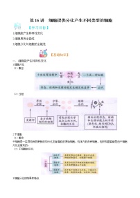 第16讲 细胞提供分化产生不同类型的细胞-【暑假自学课】2022年新高一生物暑假精品课（浙科版2019必修1）