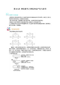 第3讲 神经调节之神经冲动产生与传导-【暑假自学课】2022年新高二生物暑假精品课