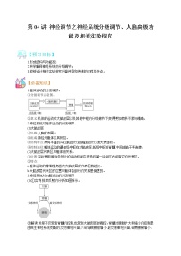 第4讲  神经调节之神经系统分解调节、人脑高级功能以及兴奋传导相关实验-【暑假自学课】2022年新高二生物暑假精品课（人教版2019）