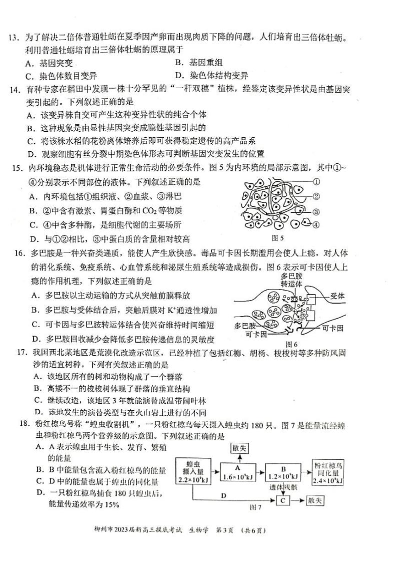 2023省柳州新高三摸底考试生物PDF版试题含答案03