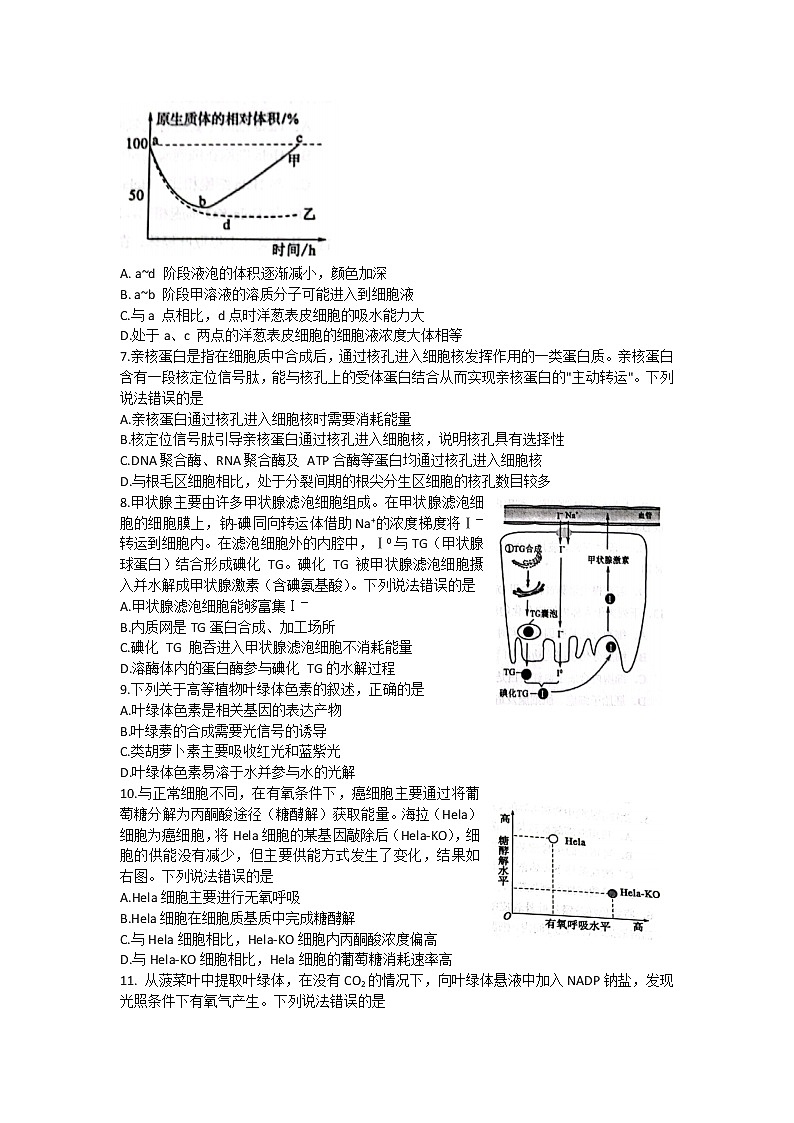 2022淄博高二下学期期末生物试题02