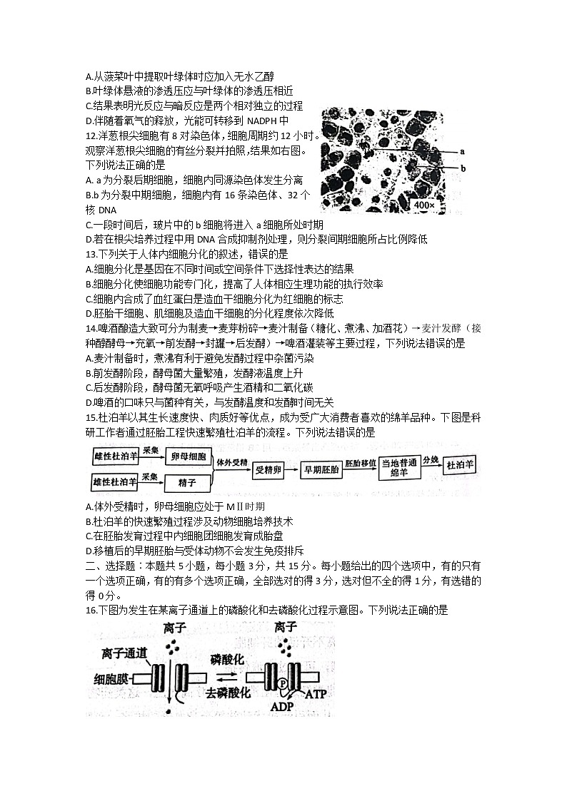 2022淄博高二下学期期末生物试题03