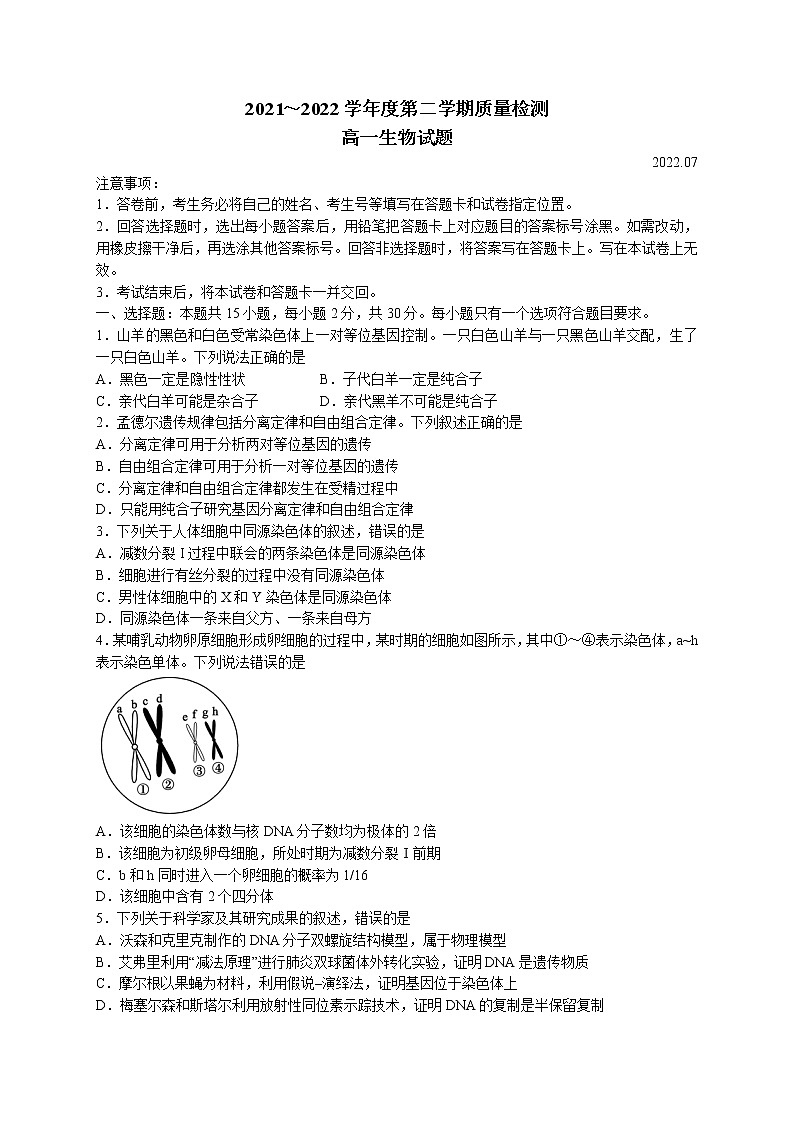 2022枣庄高一下学期期末考试生物试题01