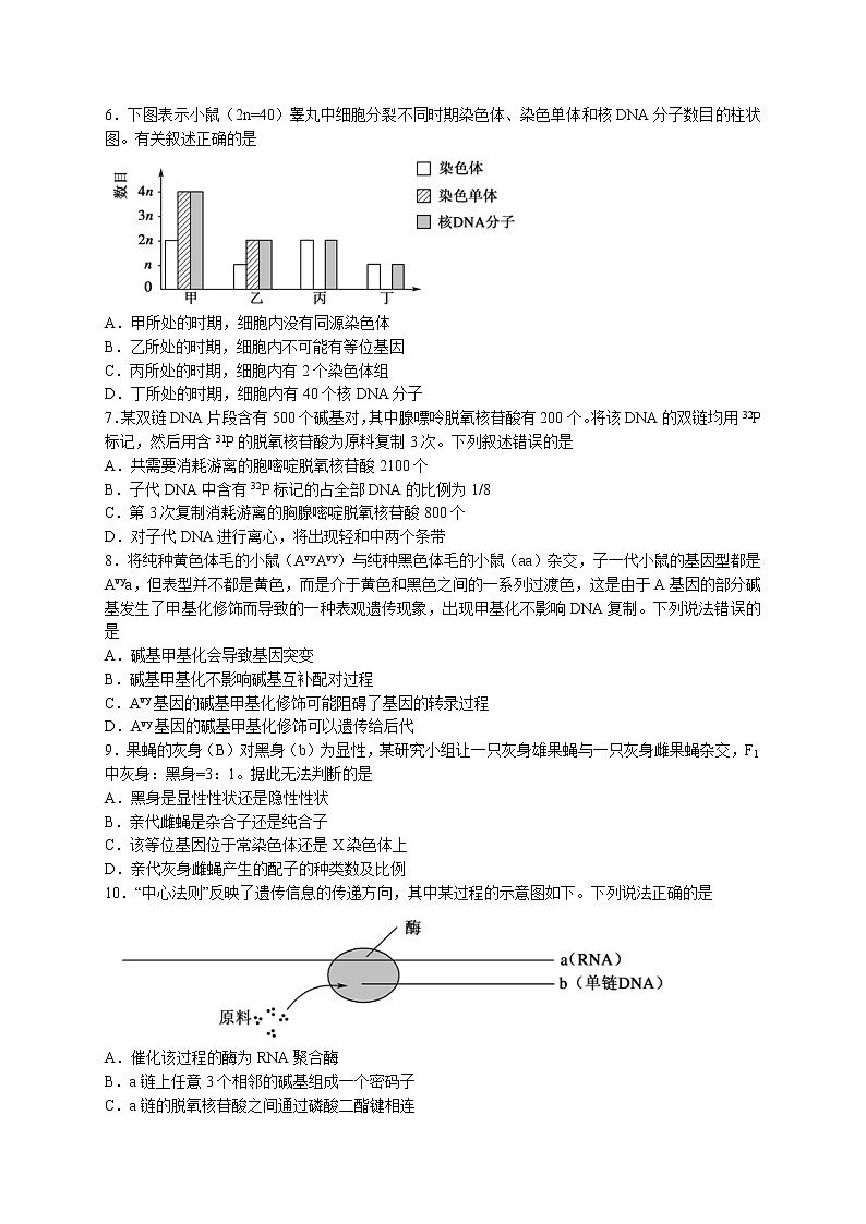 2022枣庄高一下学期期末考试生物试题02