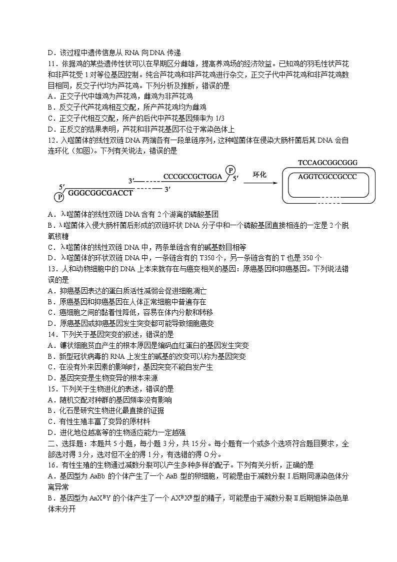2022枣庄高一下学期期末考试生物试题03