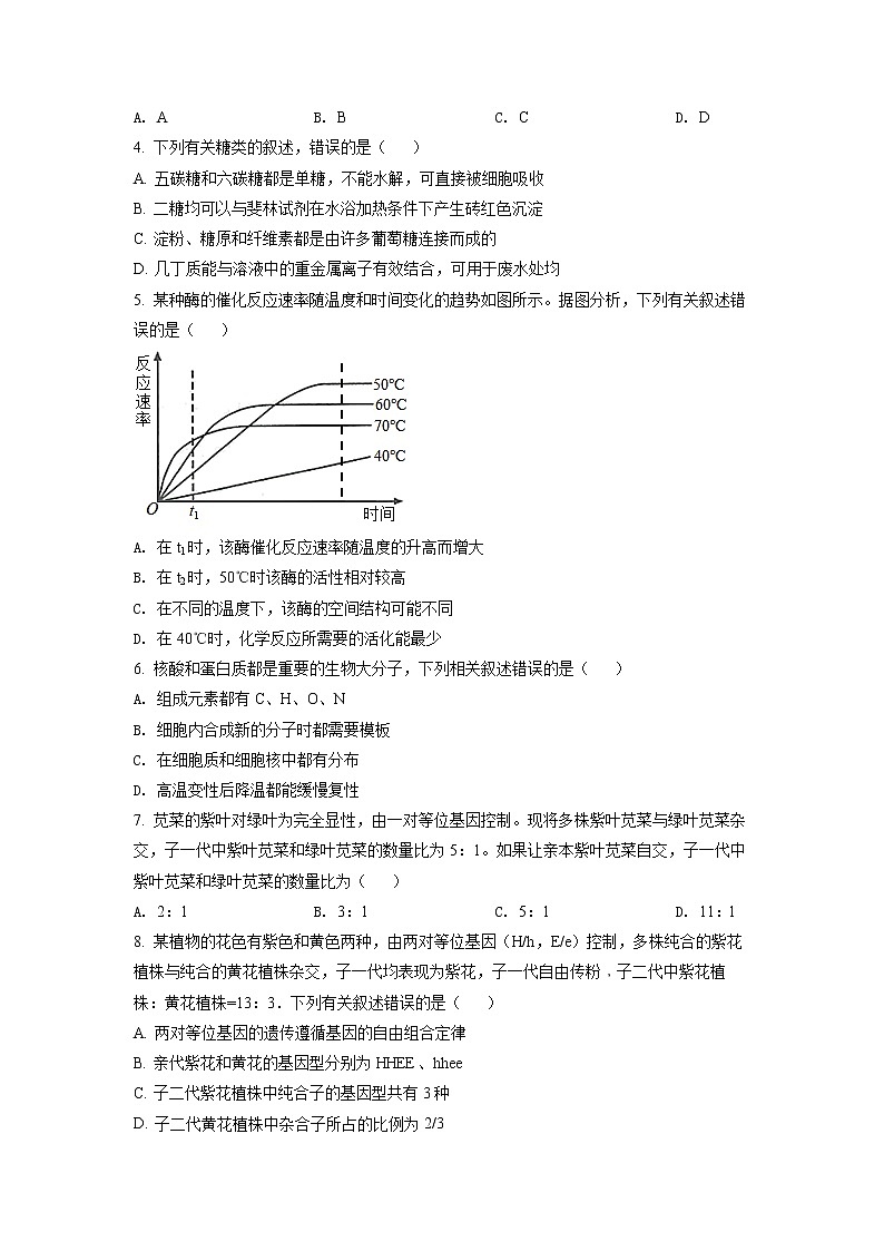 2022咸宁高一下学期期末考试生物试卷（含详解）02