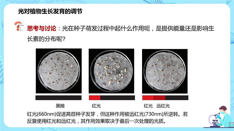 第四节《环境因素参与调节植物的生命活动》课件第5页